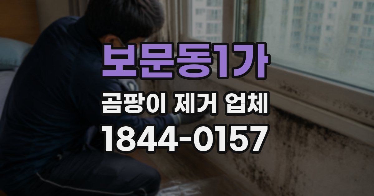 보문동1가 곰팡이 제거 업체