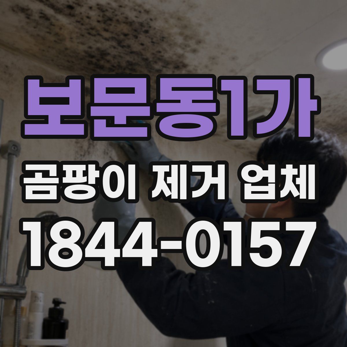 보문동1가 곰팡이 제거 업체