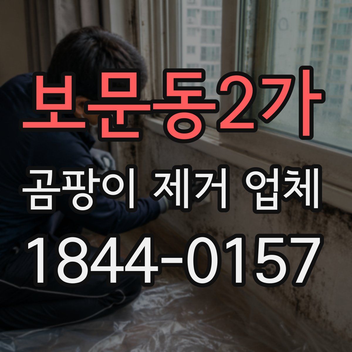 보문동2가 곰팡이 제거 업체