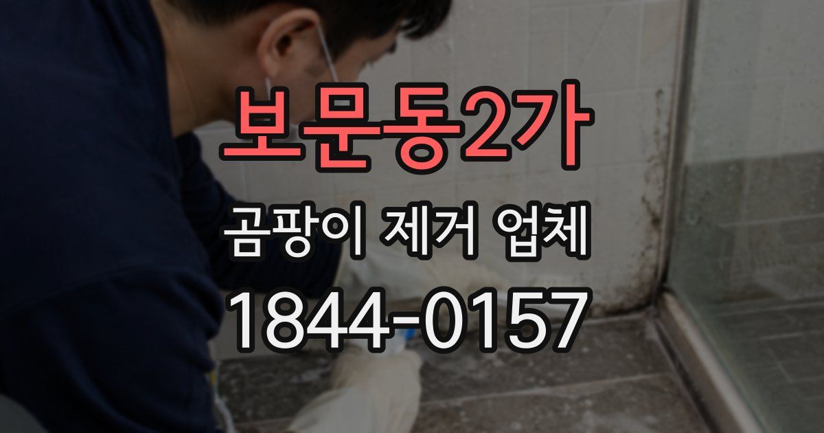 보문동2가 곰팡이 제거 업체