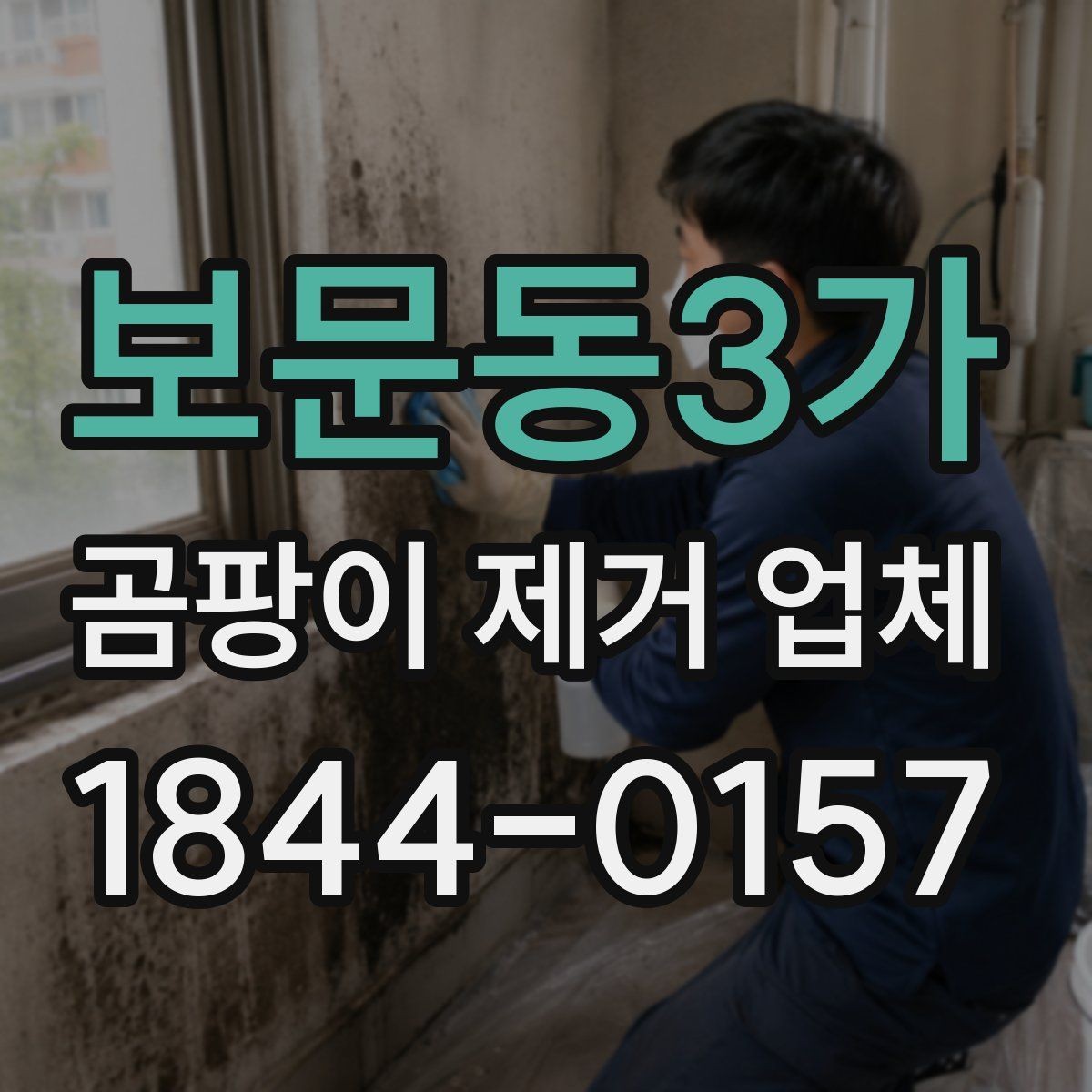 보문동3가 곰팡이 제거 업체 오염 범위에 따라 달라지는 장비와 공정