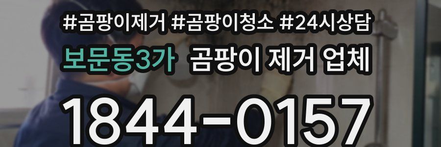 보문동3가 곰팡이 제거 업체