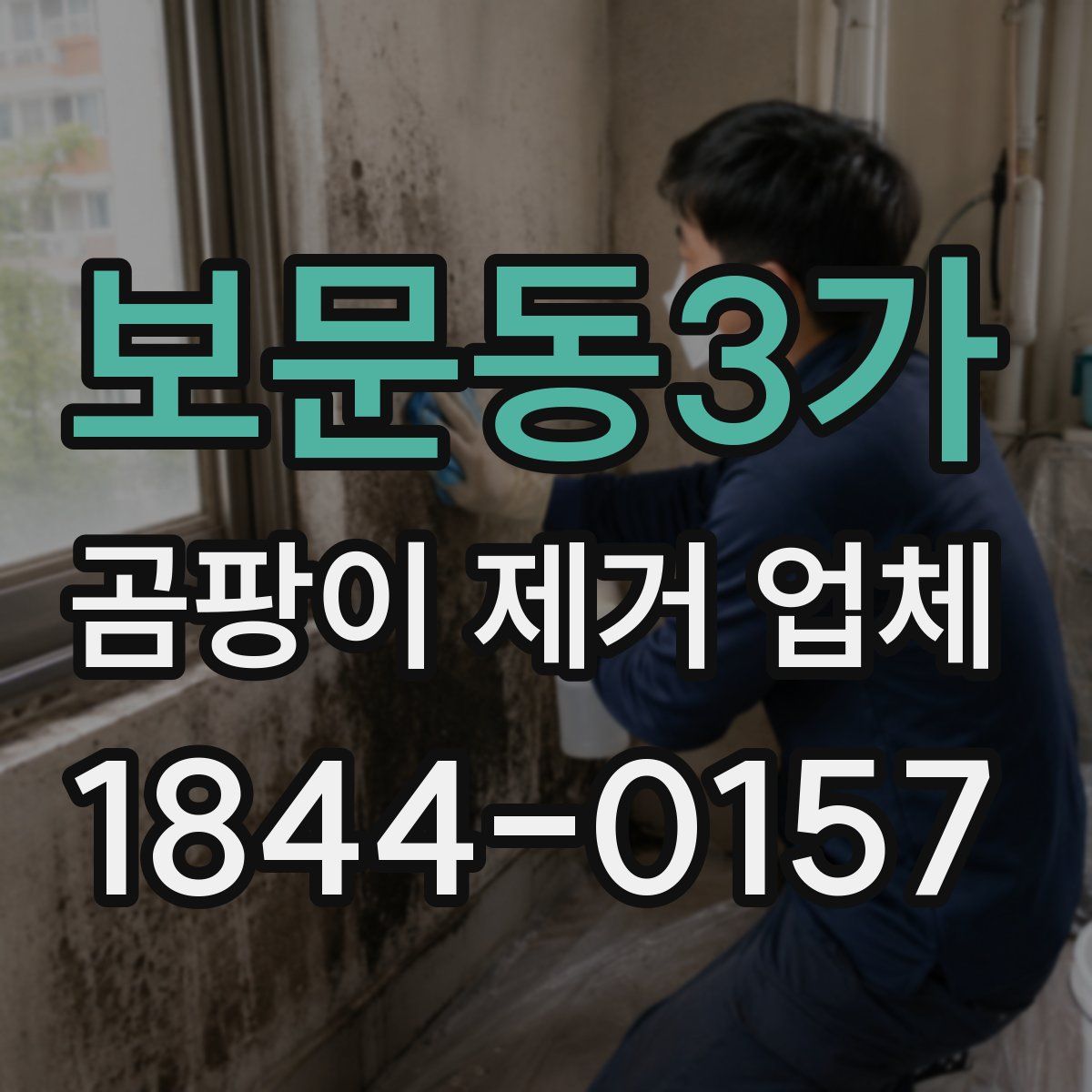 보문동3가 곰팡이 제거 업체