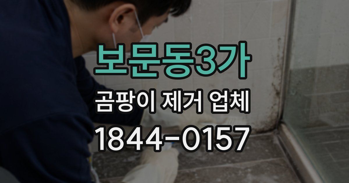 보문동3가 곰팡이 제거 업체