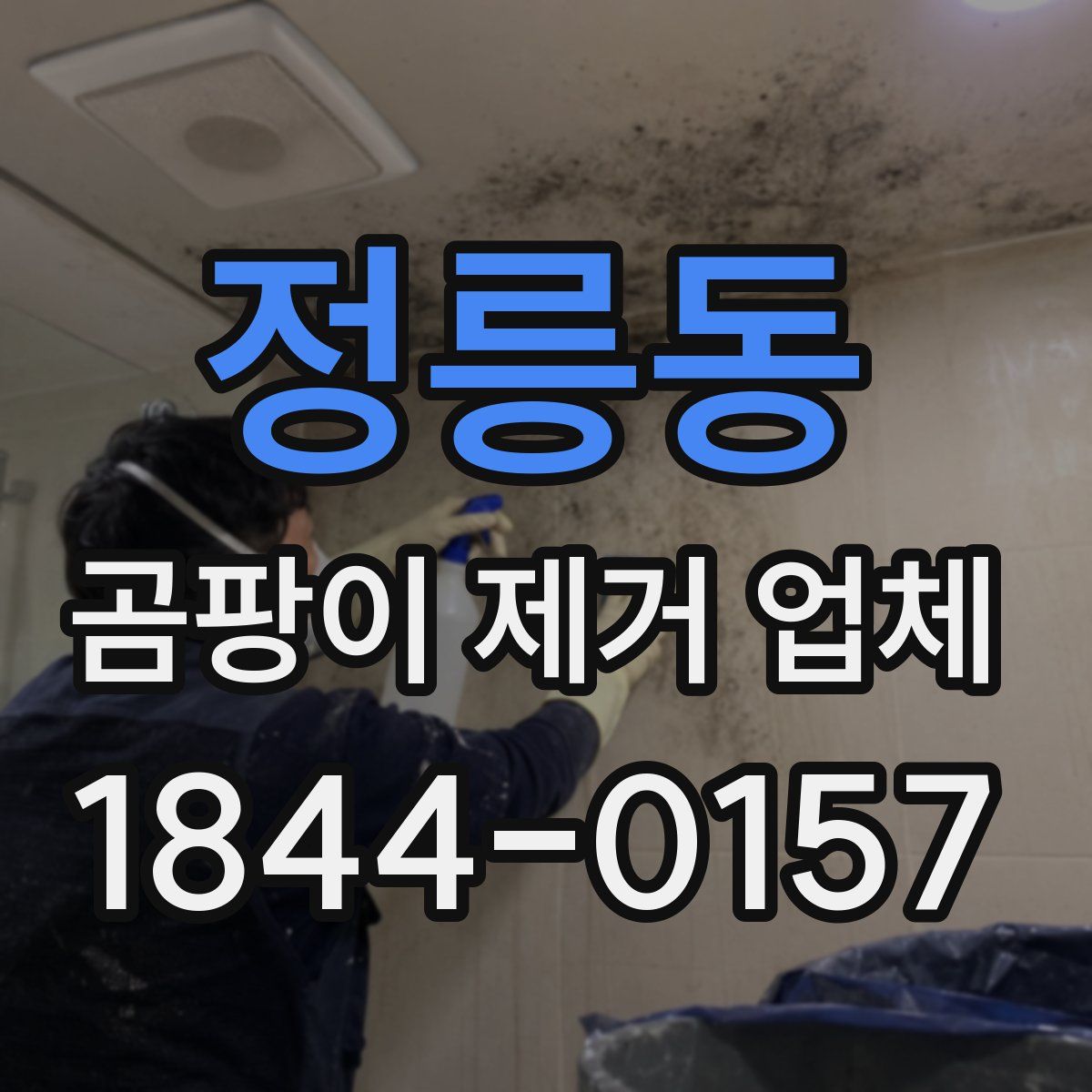 정릉동 곰팡이 제거 업체