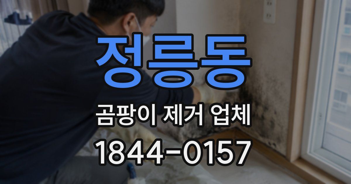 정릉동 곰팡이 제거 업체