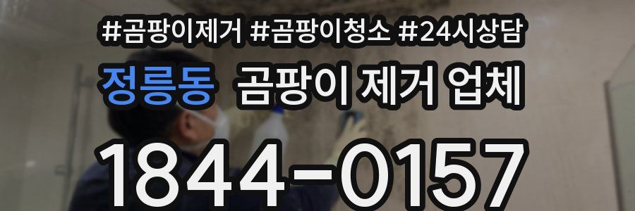정릉동 곰팡이 제거 업체