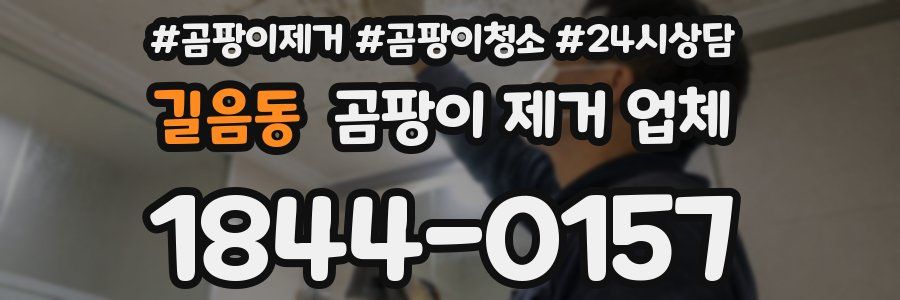 길음동 곰팡이 제거 업체