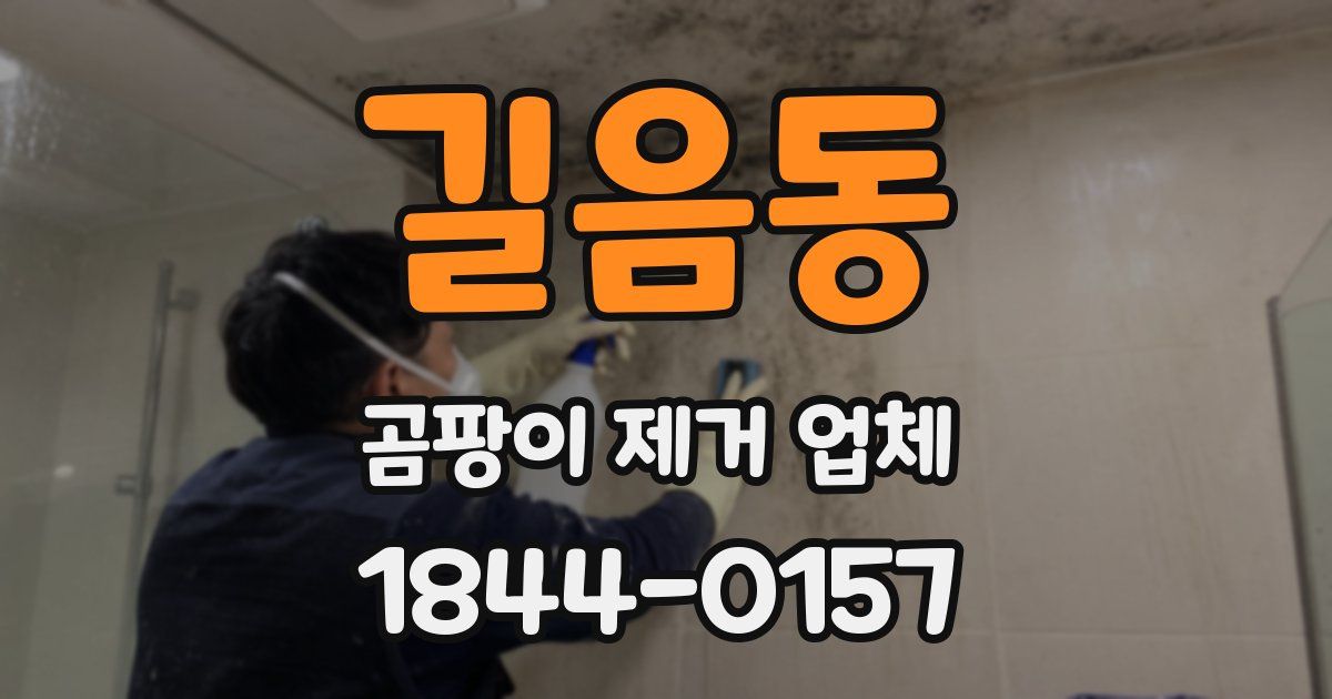 길음동 곰팡이 제거 업체