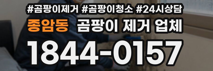 종암동 곰팡이 제거 업체