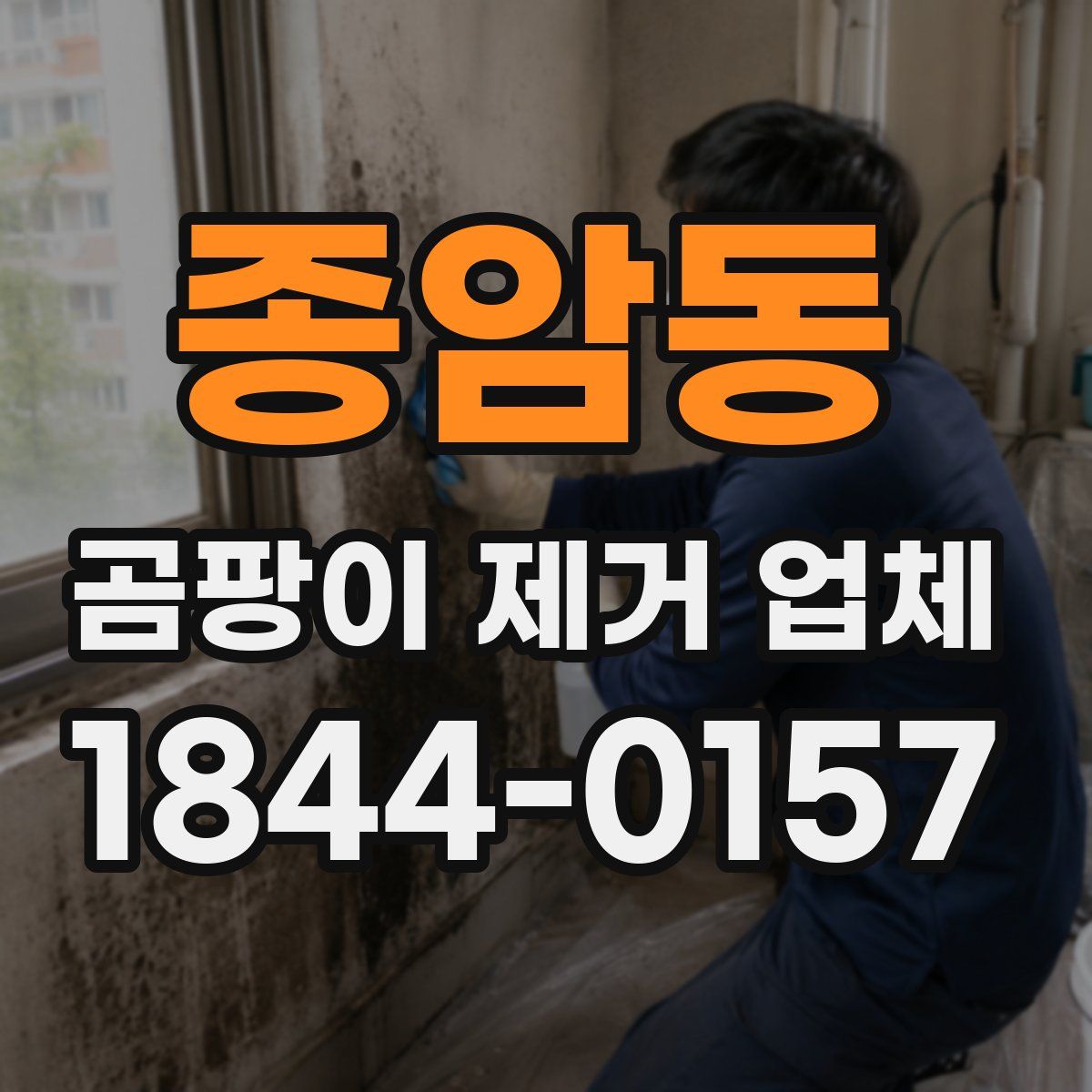 종암동 곰팡이 제거 업체