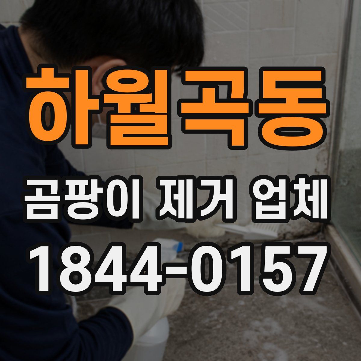 하월곡동 곰팡이 제거 업체