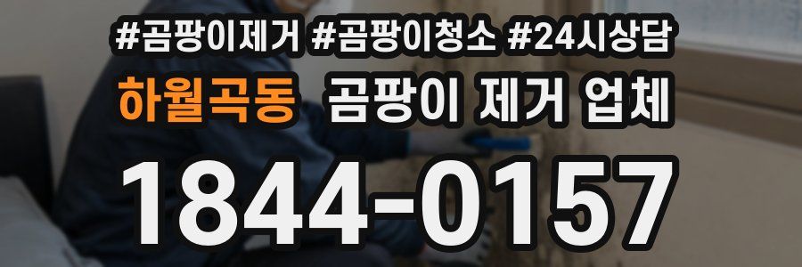 하월곡동 곰팡이 제거 업체