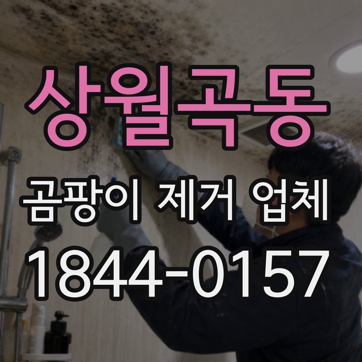상월곡동 곰팡이 제거 업체