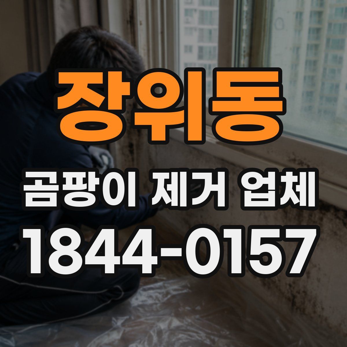장위동 곰팡이 제거 업체