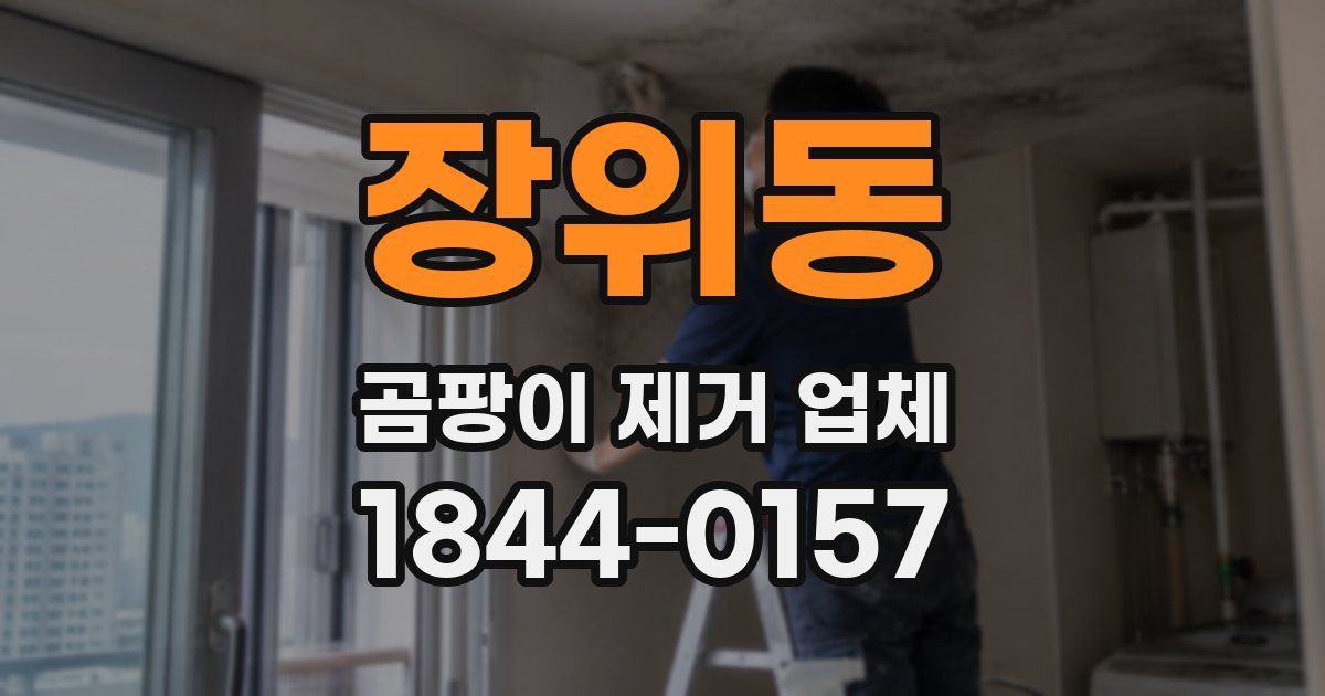 장위동 곰팡이 제거 업체