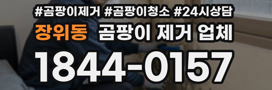 장위동 곰팡이 제거 업체