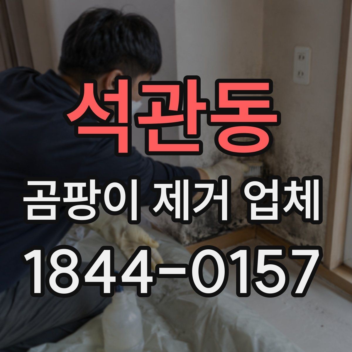 석관동 곰팡이 제거 업체 표면 곰팡이와 내부 오염을 나눠 보는 이유