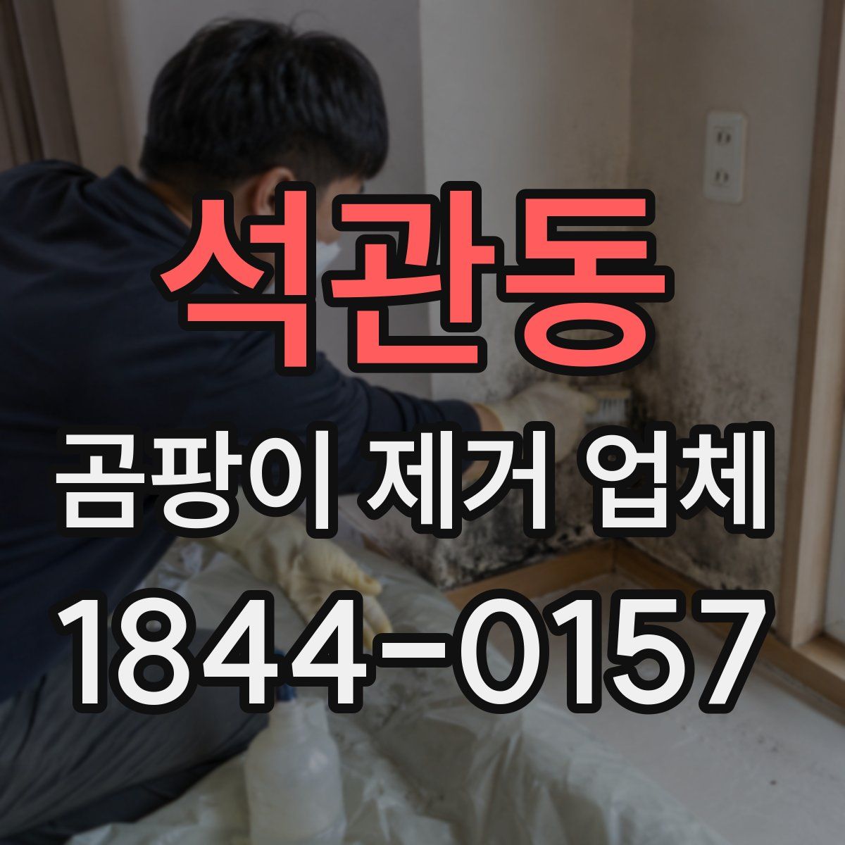 석관동 곰팡이 제거 업체