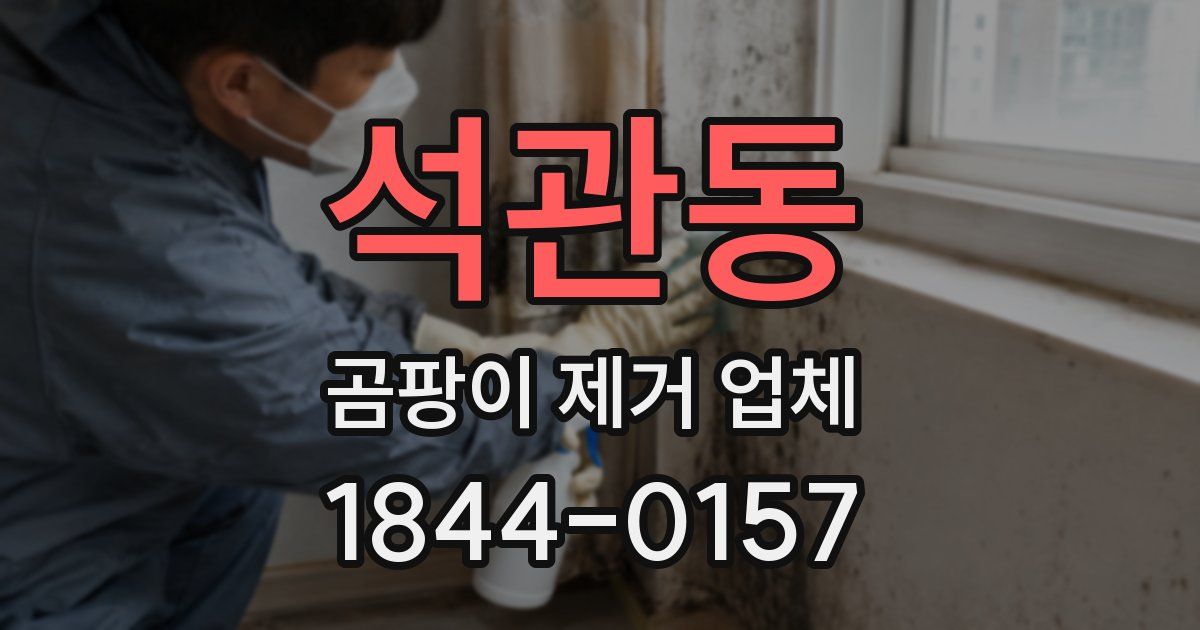 석관동 곰팡이 제거 업체