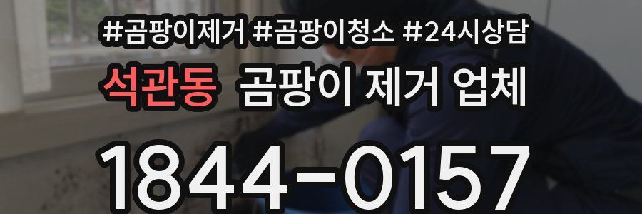 석관동 곰팡이 제거 업체