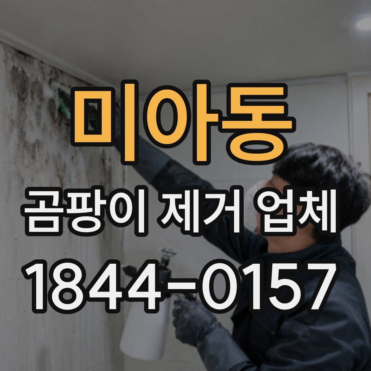 미아동 곰팡이 제거 업체