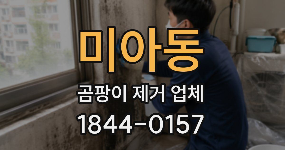 미아동 곰팡이 제거 업체