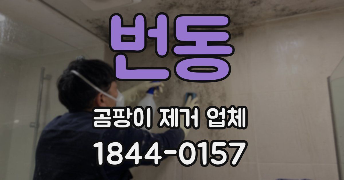 번동 곰팡이 제거 업체