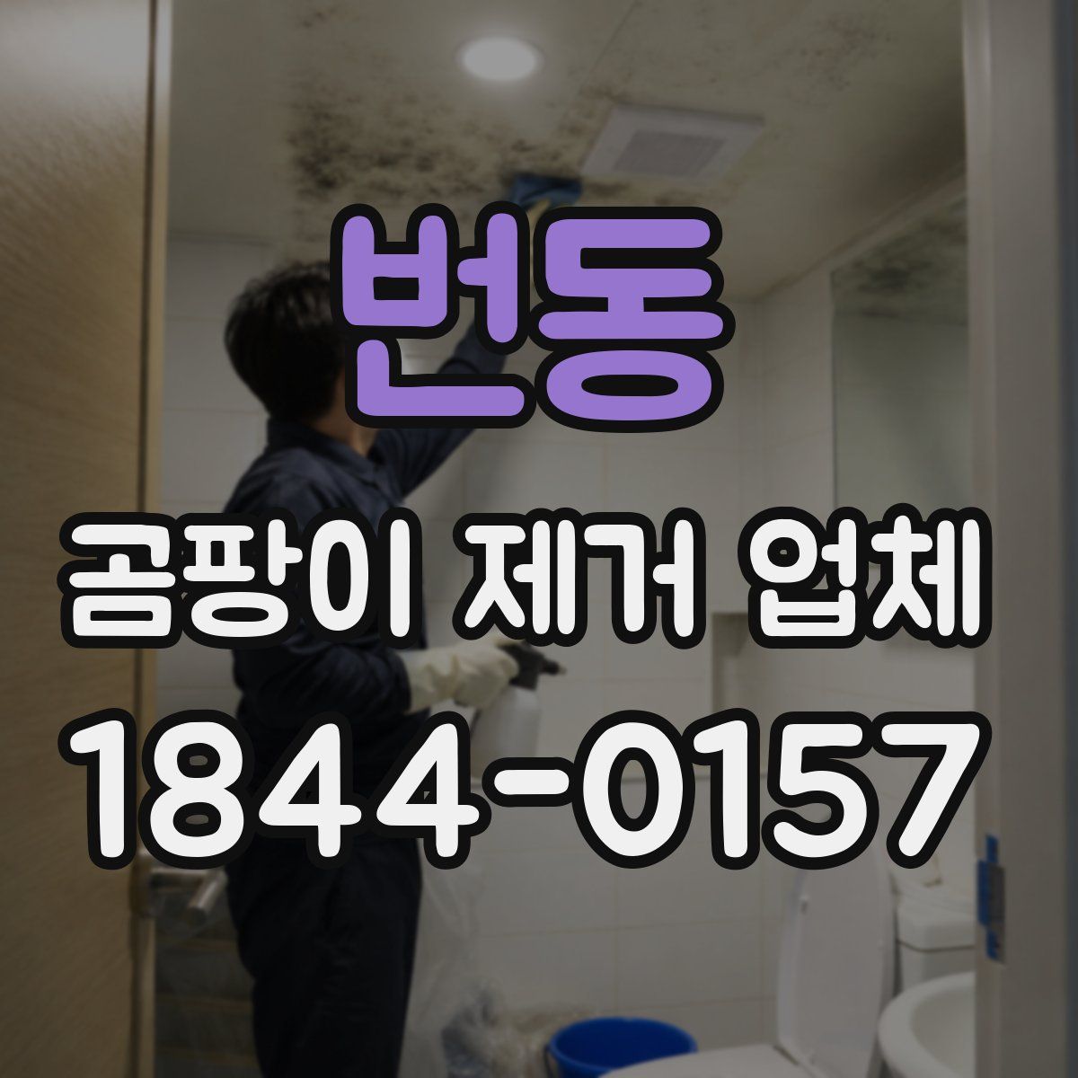 번동 곰팡이 제거 업체
