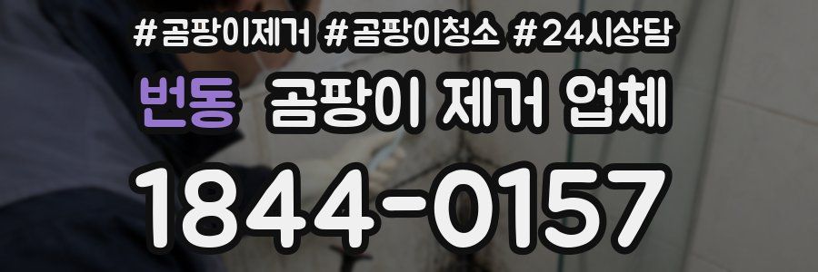 번동 곰팡이 제거 업체