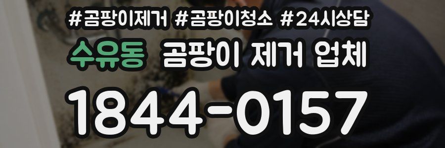 수유동 곰팡이 제거 업체
