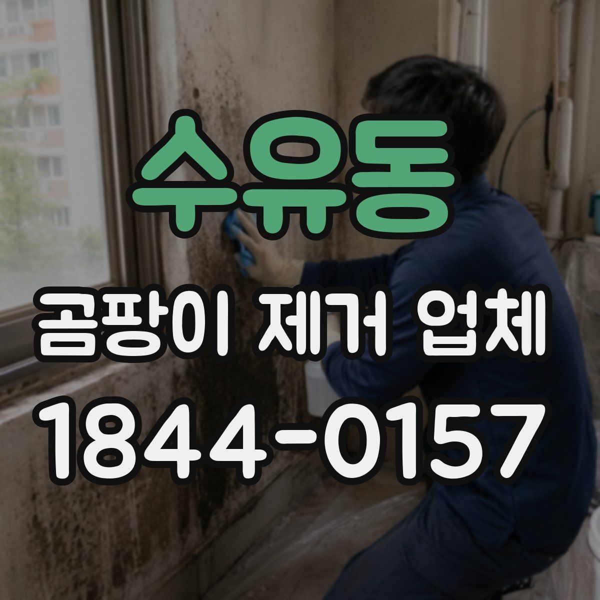 수유동 곰팡이 제거 업체