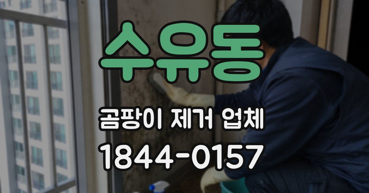수유동 곰팡이 제거 업체