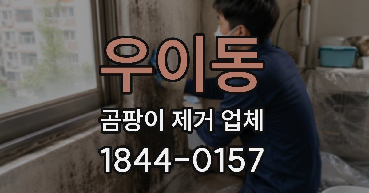 우이동 곰팡이 제거 업체