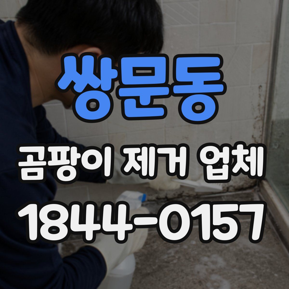 쌍문동 곰팡이 제거 업체