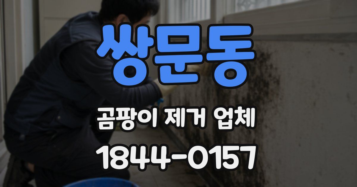 쌍문동 곰팡이 제거 업체