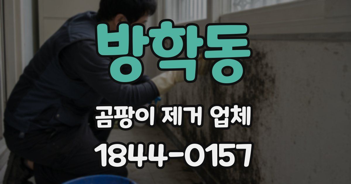 방학동 곰팡이 제거 업체