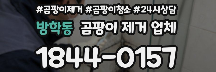 방학동 곰팡이 제거 업체
