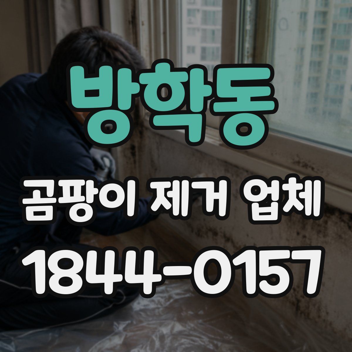 방학동 곰팡이 제거 업체