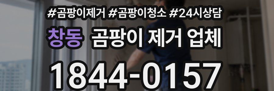 창동 곰팡이 제거 업체