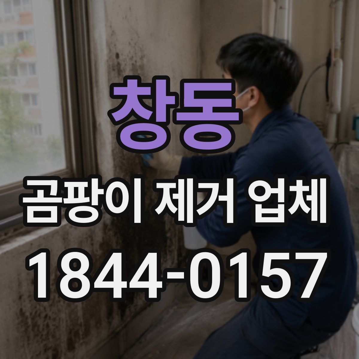 창동 곰팡이 제거 업체