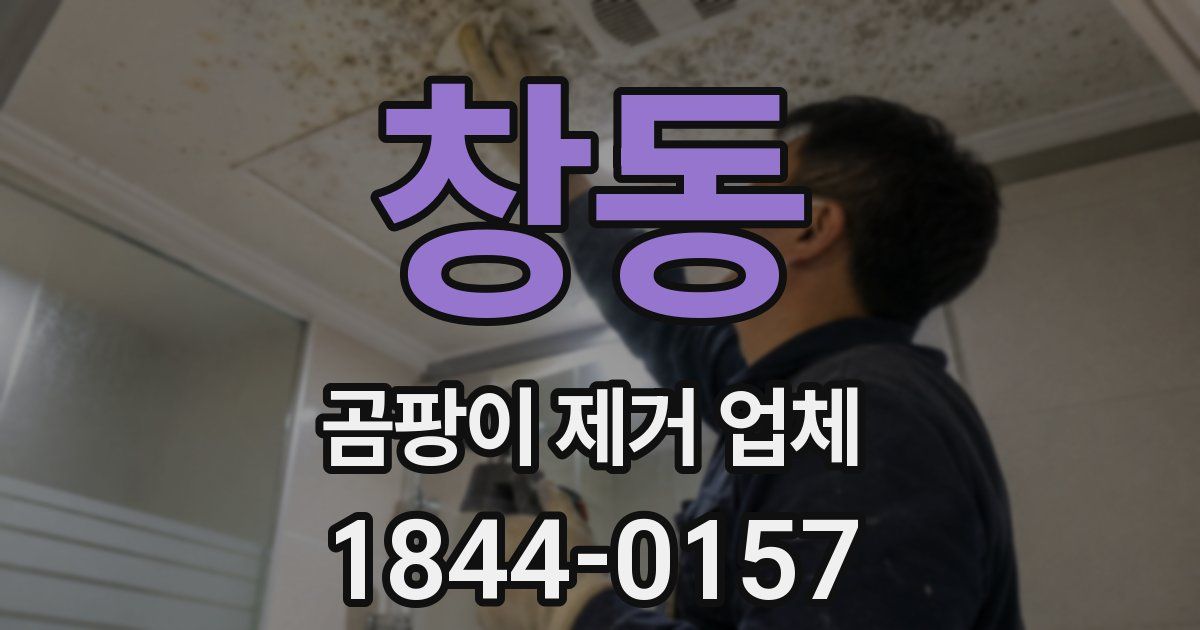 창동 곰팡이 제거 업체