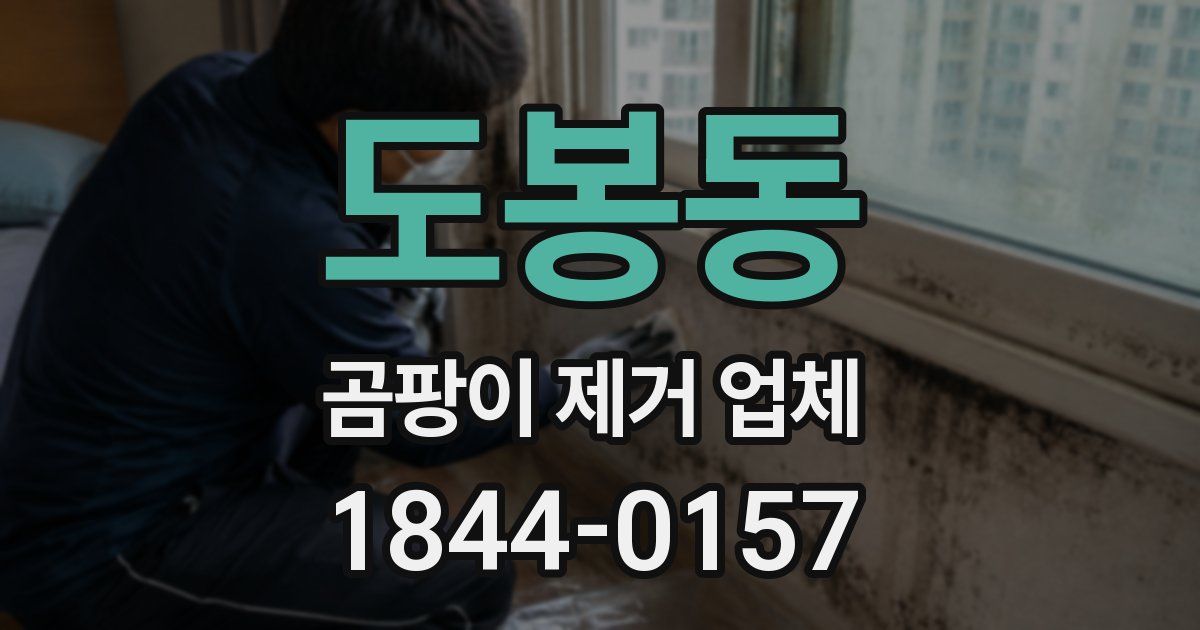 도봉동 곰팡이 제거 업체