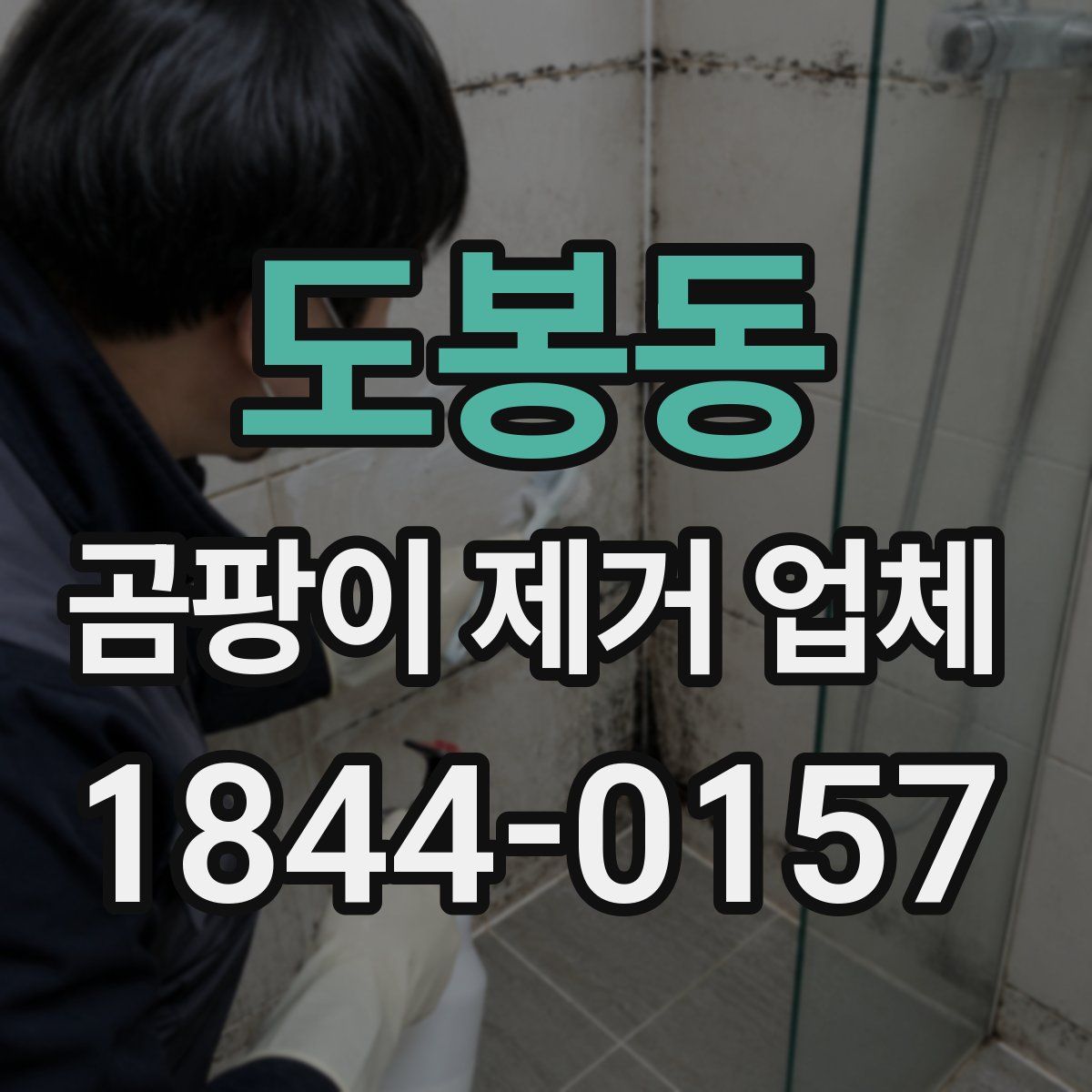 도봉동 곰팡이 제거 업체