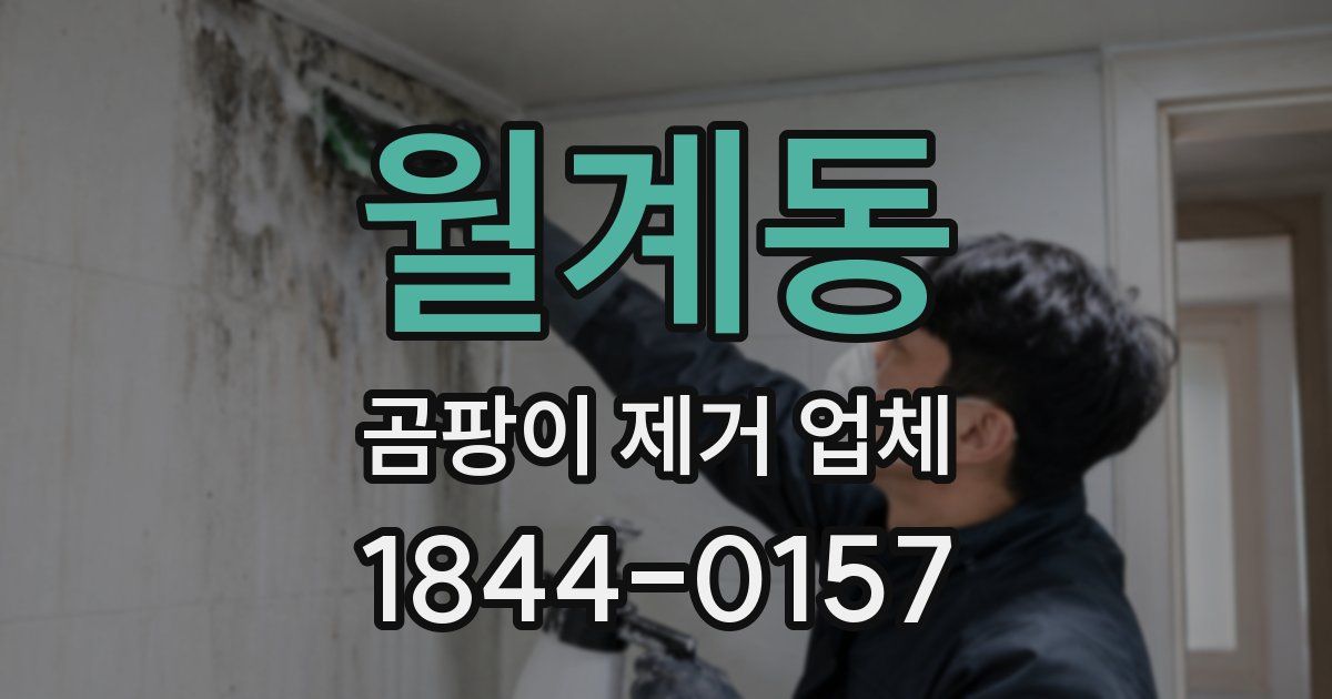 월계동 곰팡이 제거 업체