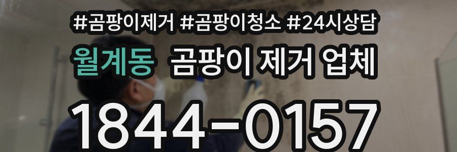 월계동 곰팡이 제거 업체