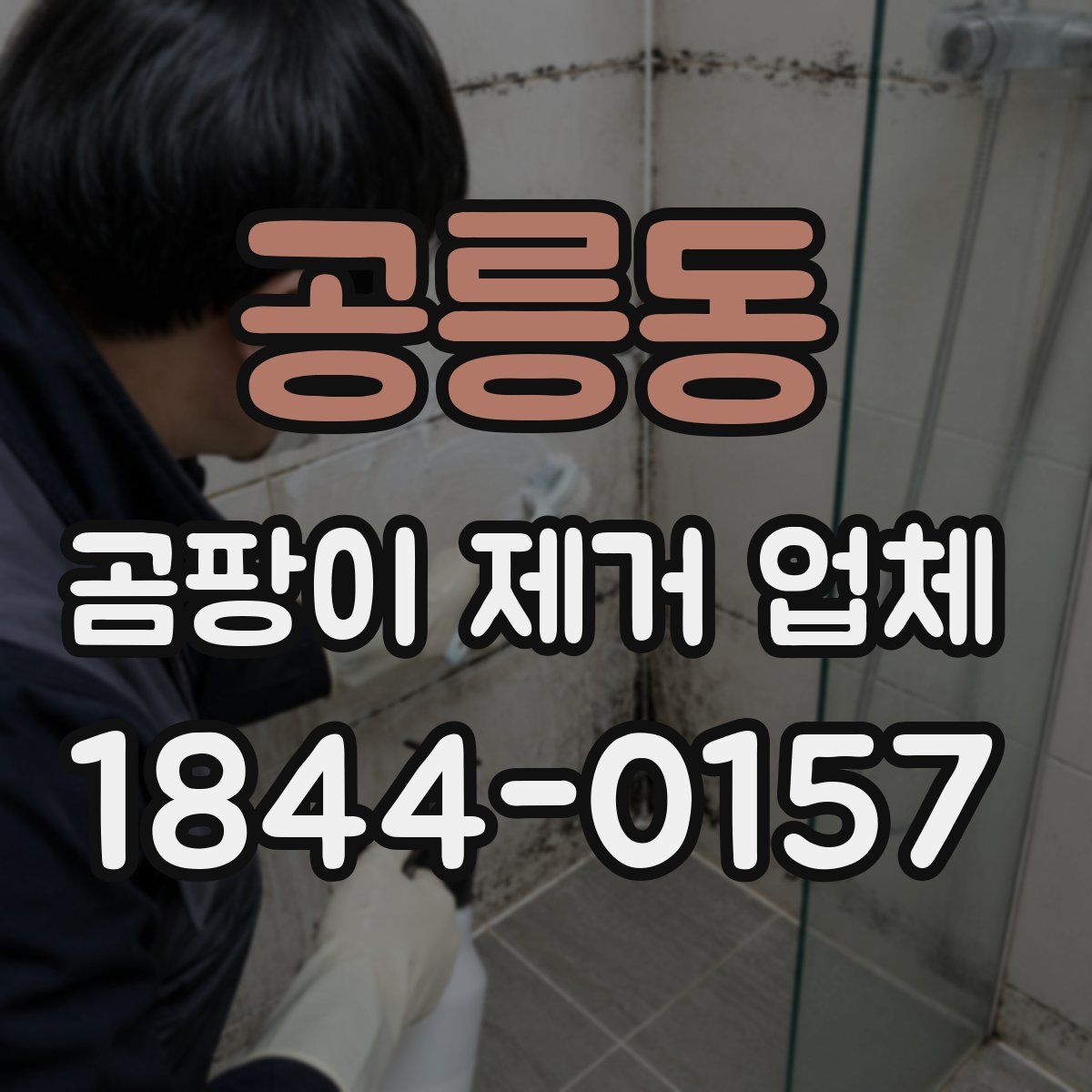 공릉동 곰팡이 제거 업체