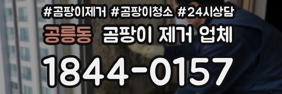 공릉동 곰팡이 제거 업체