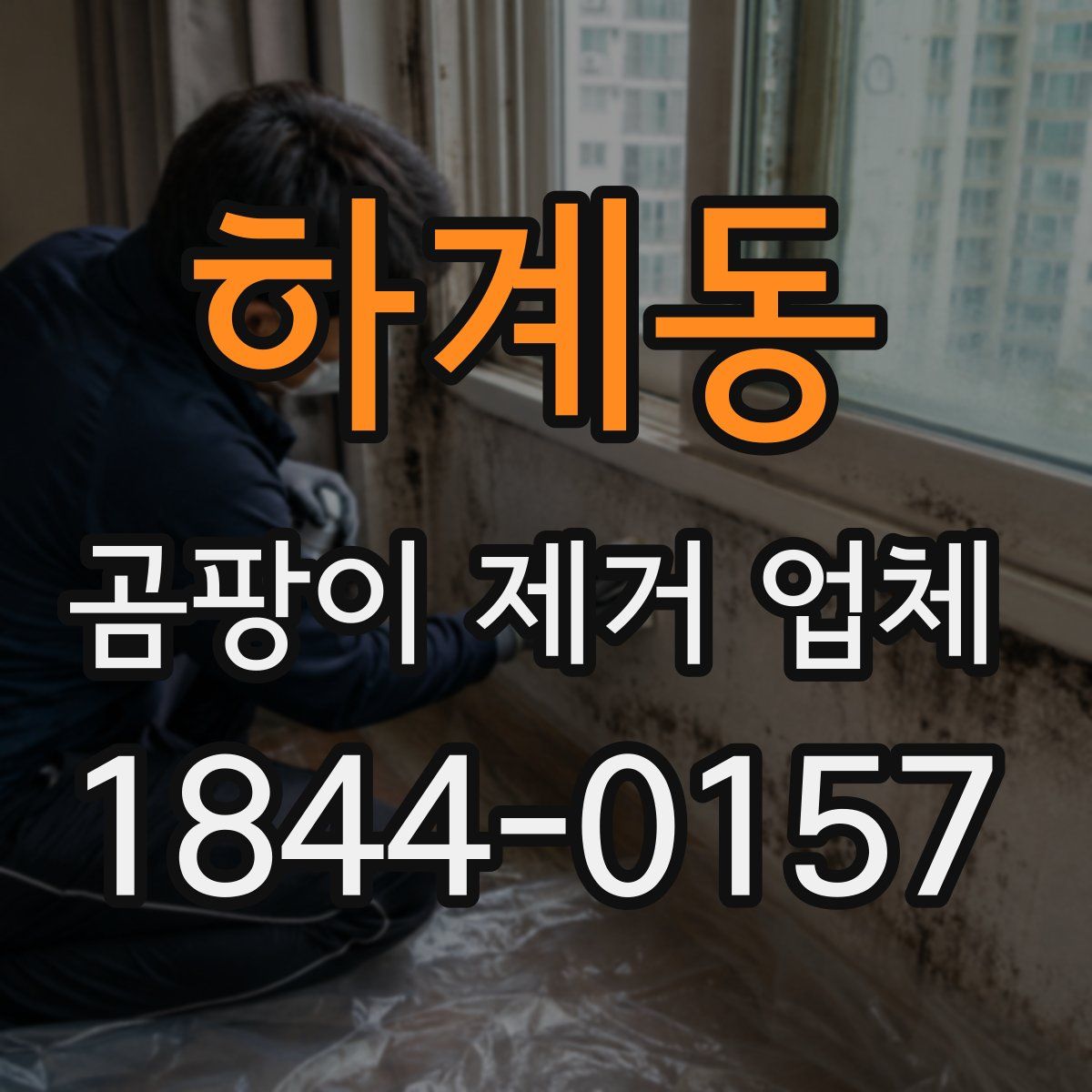 하계동 곰팡이 제거 업체