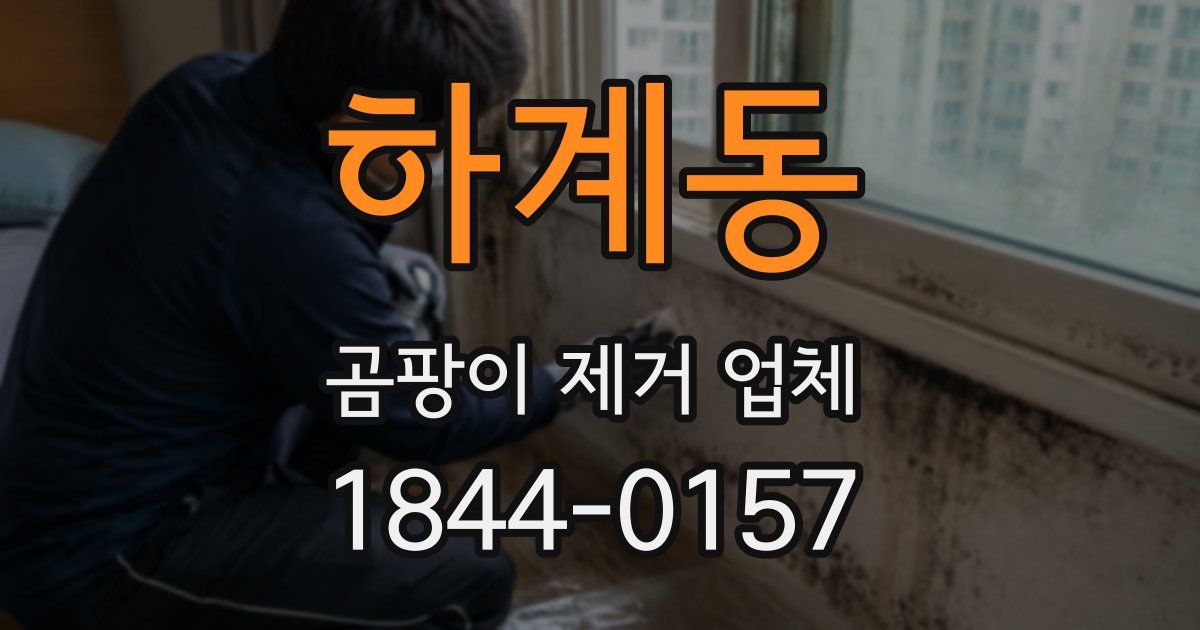 하계동 곰팡이 제거 업체